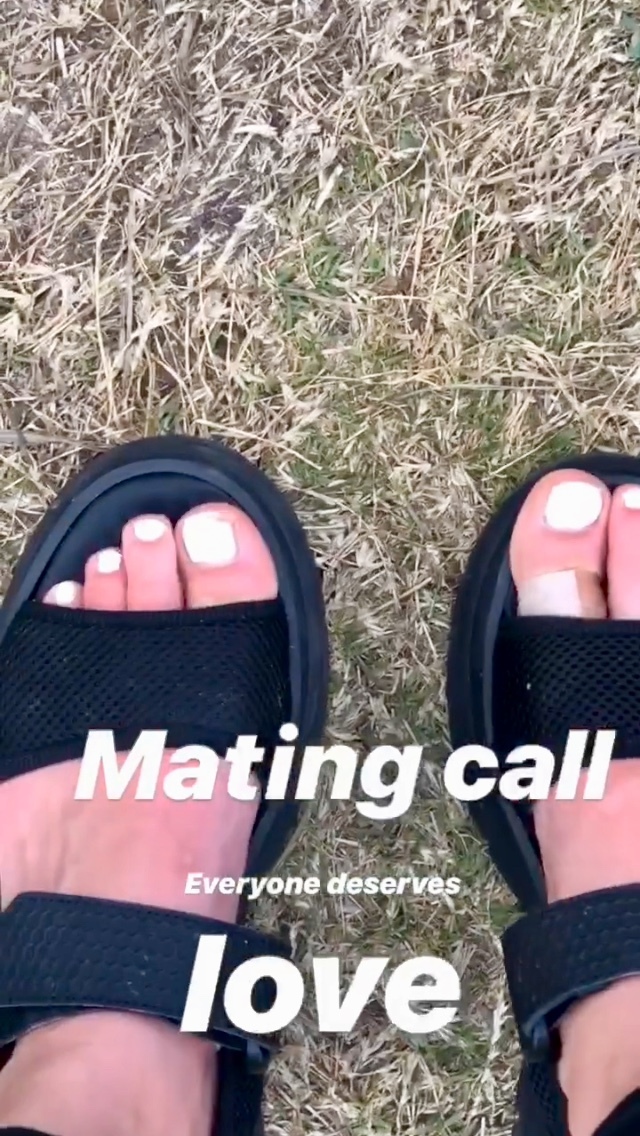 Shelley Hennig Feet